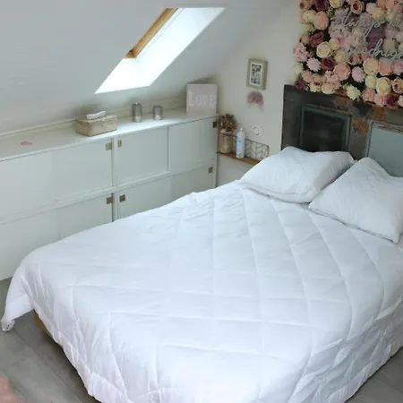 The Attic Apartment